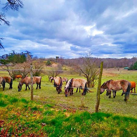 Nadmorska Osada Villa Oslonino Exteriör bild