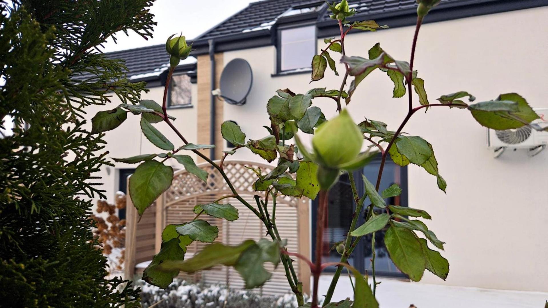 Nadmorska Osada Villa Oslonino Exteriör bild